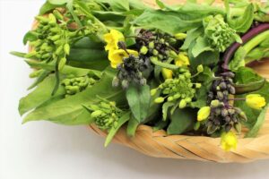 菜の花の栄養と効果。春野菜を食事に取り入れよう