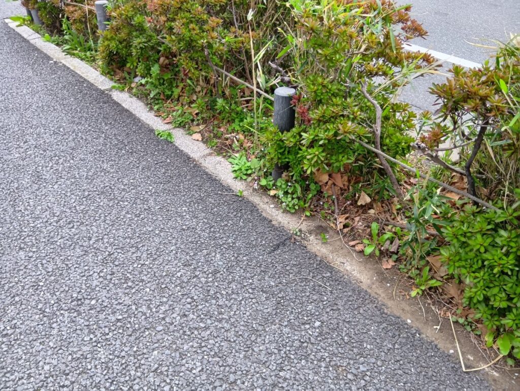 コスモス薬局東船橋店の店舗前植え込み清掃後の様子