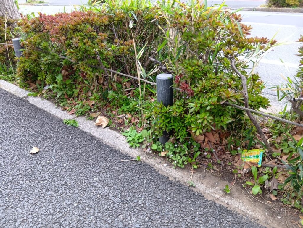 コスモス薬局東船橋店の店舗前の植込みの清掃の様子