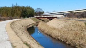 【千葉市中央区】薬局近くの散歩道で、見つけた冬景色
