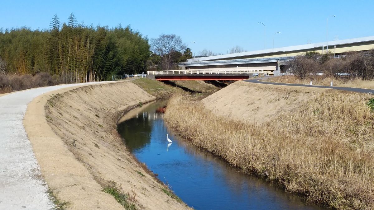 【千葉市中央区】薬局近くの散歩道で、見つけた冬景色