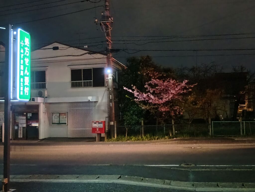 夜のみずき薬局星久喜店前に咲く桜の木