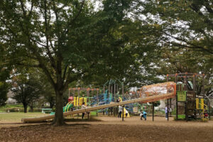曇り空の『青葉の森公園』こそ要注意！6月のジメジメに潜む『隠れ脱水・隠れ熱中症』を防ぐコツ