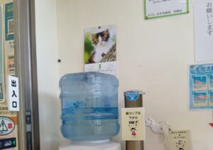 【市原市】熱中症に気を付けてニャー｜処方せんがなくてもお気軽に