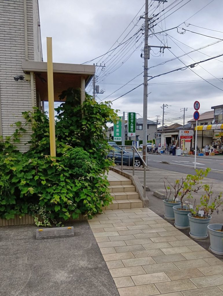 みずき薬局市原店の隣で葉を広げるブドウ