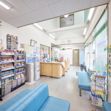 コスモス薬局 印西店 店内