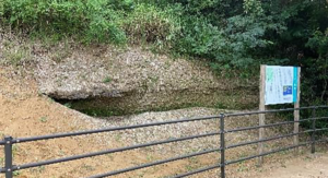 地元情報：木下万葉公園の見どころ紹介。小林駅から車で8分の散策スポット