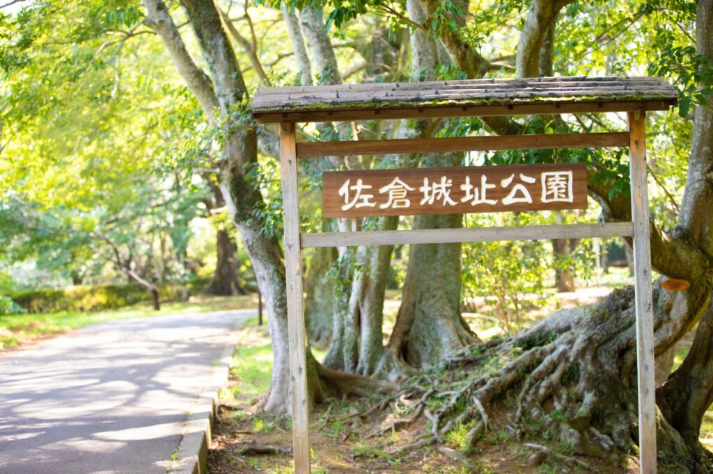 日本100名城・佐倉城址公園の花菖蒲とは