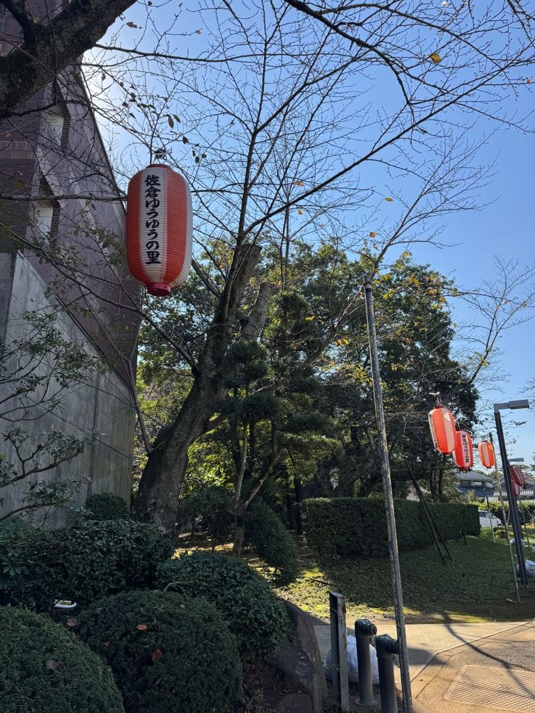秋晴れの散策路に並ぶ佐倉の秋祭りの提灯