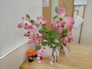 【八千代市・勝田台】投薬台に季節のお花を飾りました｜相談しやすい薬局づくりのひと工夫