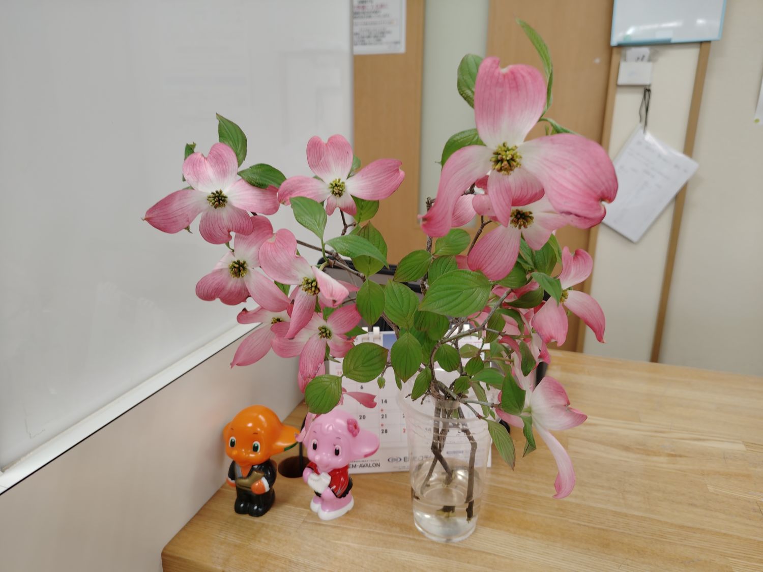 【八千代市・勝田台】投薬台に季節のお花を飾りました｜相談しやすい薬局づくりのひと工夫