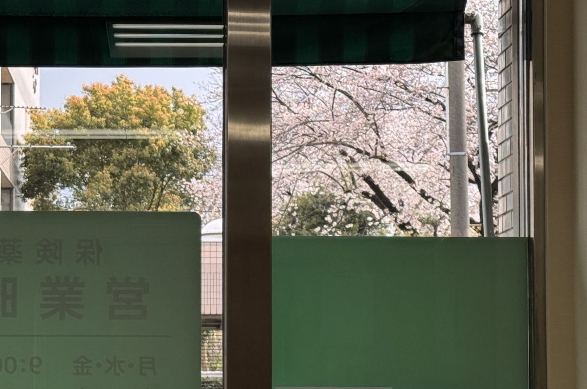 八千代市勝田台｜投薬台から見える満開の桜、ちょっと遠回りの春散歩を