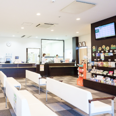 ファーマシーきみさらず 店内