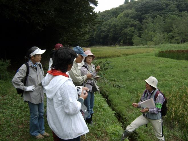 「大草谷津田いきものの里」の楽しみ方
