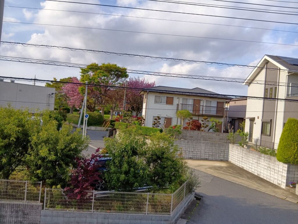 薬局2回から見える勝田台の街並みと桜の風景