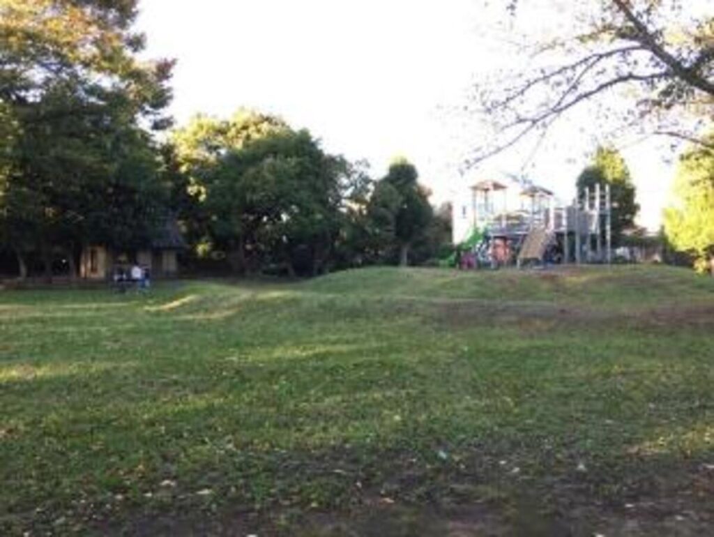 子どもと思い切り遊ぼう!鷺沼城址公園