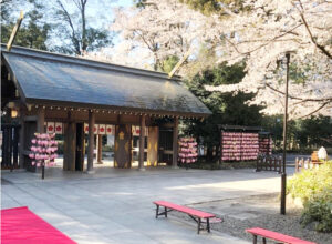 野田市・櫻木神社の「トイレの神様」に学ぶ！薬剤師が教える酸化マグネシウムE便秘薬で便秘改善