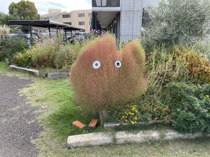 駐車場に咲き誇る小さな彩り「季節の癒やし」