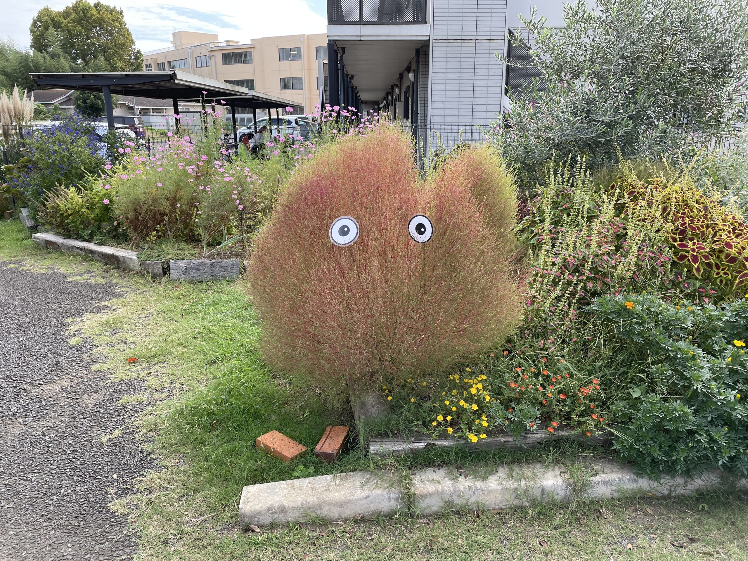 駐車場に咲き誇る小さな彩り「季節の癒やし」