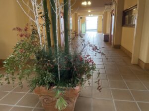 【佐倉市】七草がゆとプチモンドさくらのお正月飾り