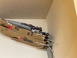 【佐倉市】つばめがもうすぐ巣立ちそうです｜4月からの小さな成長