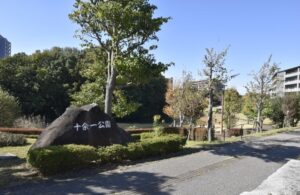 十余一公園で森林浴！脳の疲れをリセットする驚きの健康効果を薬剤師が解説