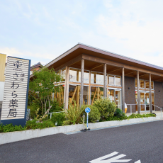 健栄 さわら薬局 外観