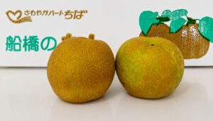 白井市南山｜今年も届いた旬の梨と、変わらない笑顔