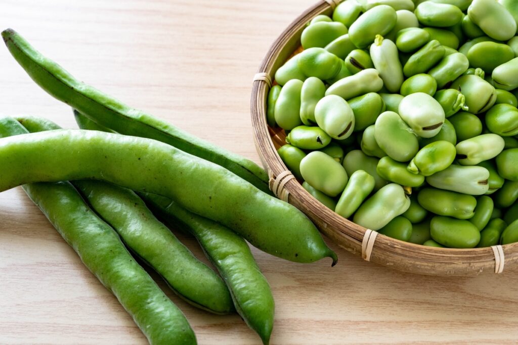そら豆に含まれるタンパク質の働き