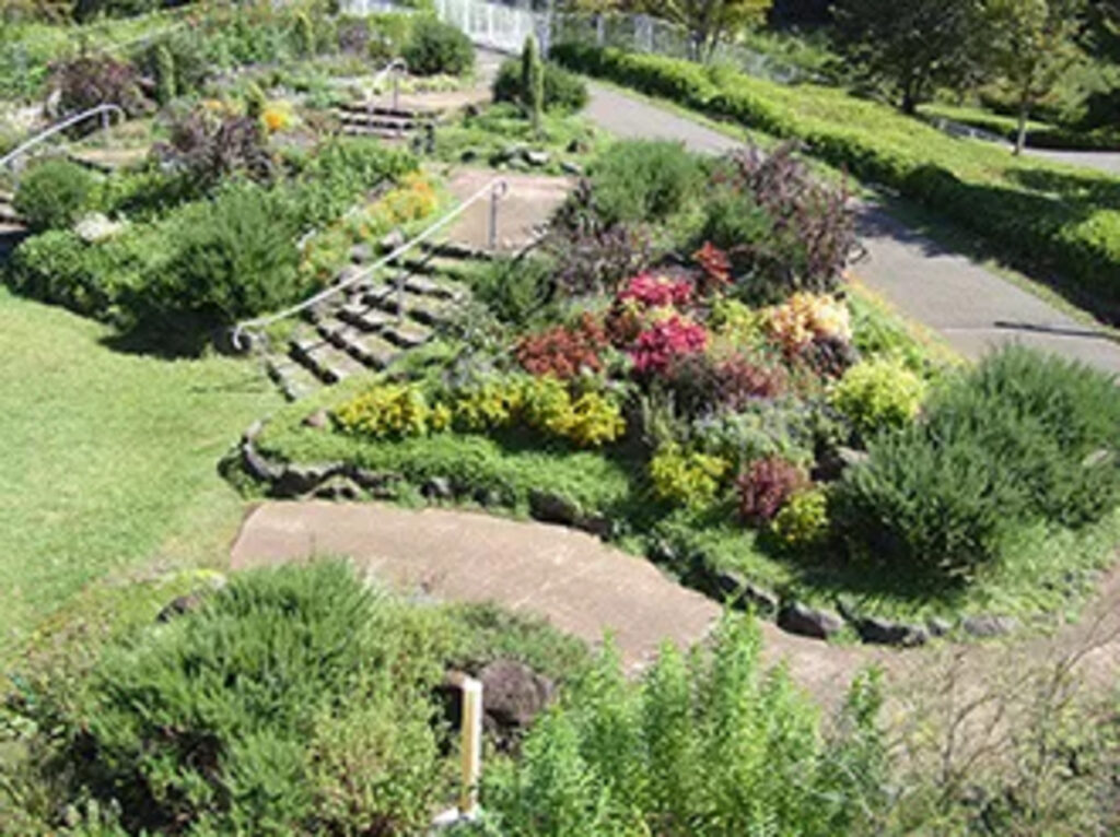 印西市・高花エリアの身近な憩いの場「北総花の丘公園」