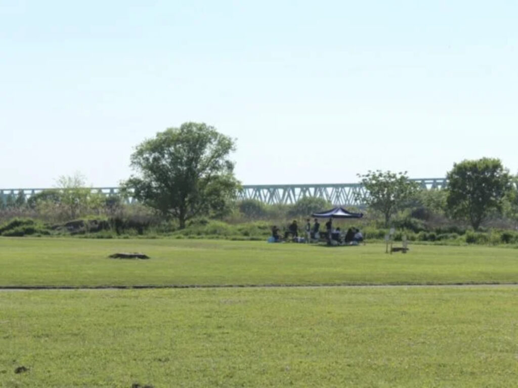 取手緑地公園の見どころ①：最大人数100名！広大な無料バーベキュー場