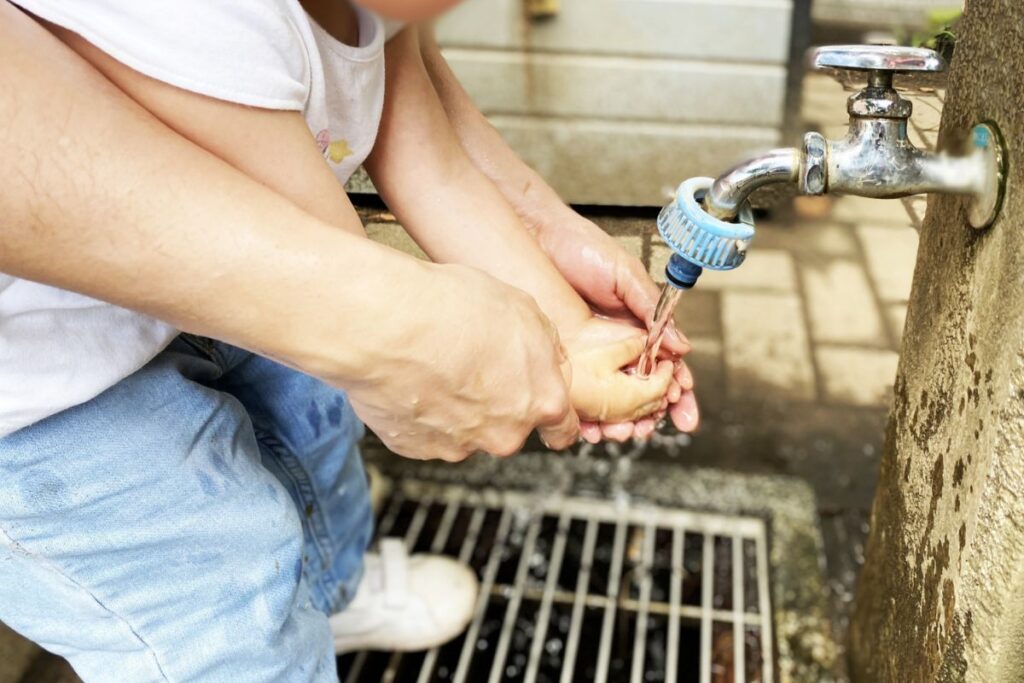 かぶれる虫・植物に触れた後の正しい「消毒殺菌」