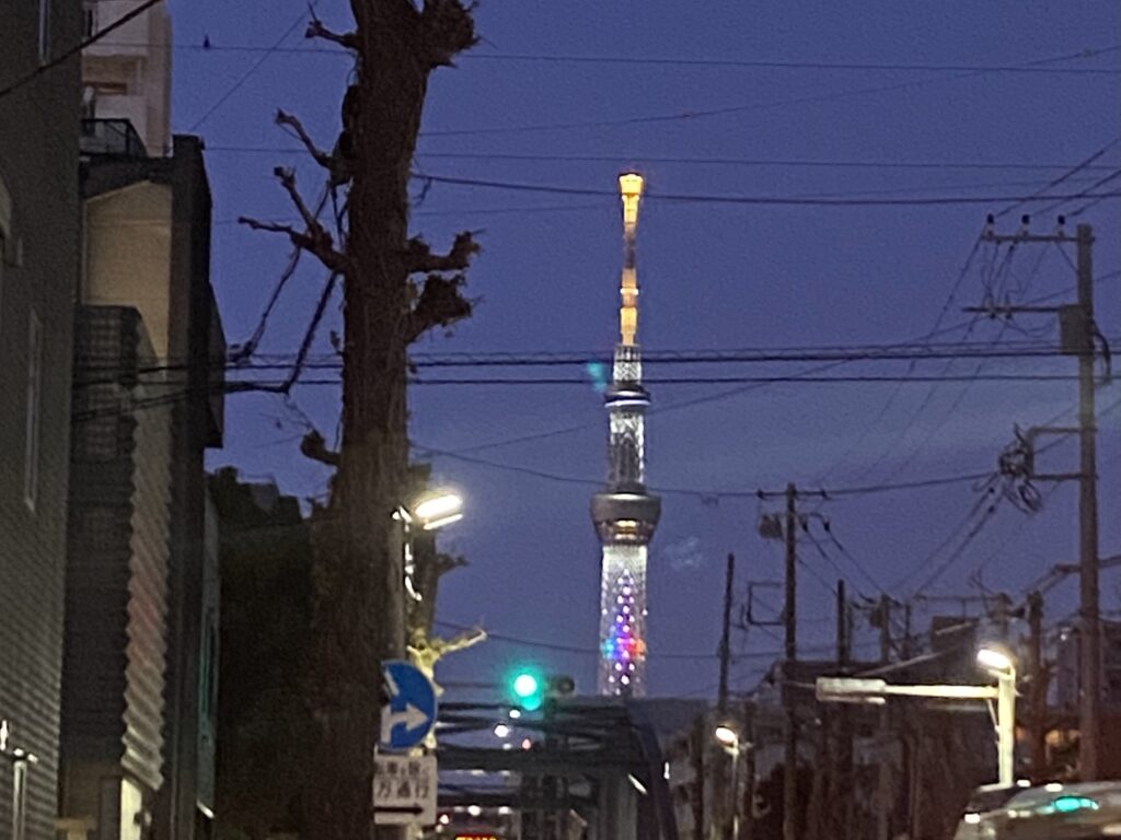 在宅訪問の帰り道、東陽町の街中から見える夜の東京スカイツリー