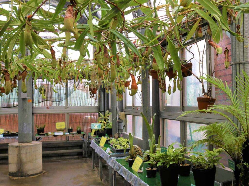 植物館は快適？実は気をつけたい「温度差」