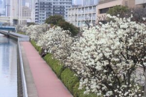 日差しを遮るもののない『潮風の散歩道』！紫外線から肌を守る、ベビーワセリンの活用術