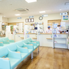 めぐみ薬局 津田沼店 店内