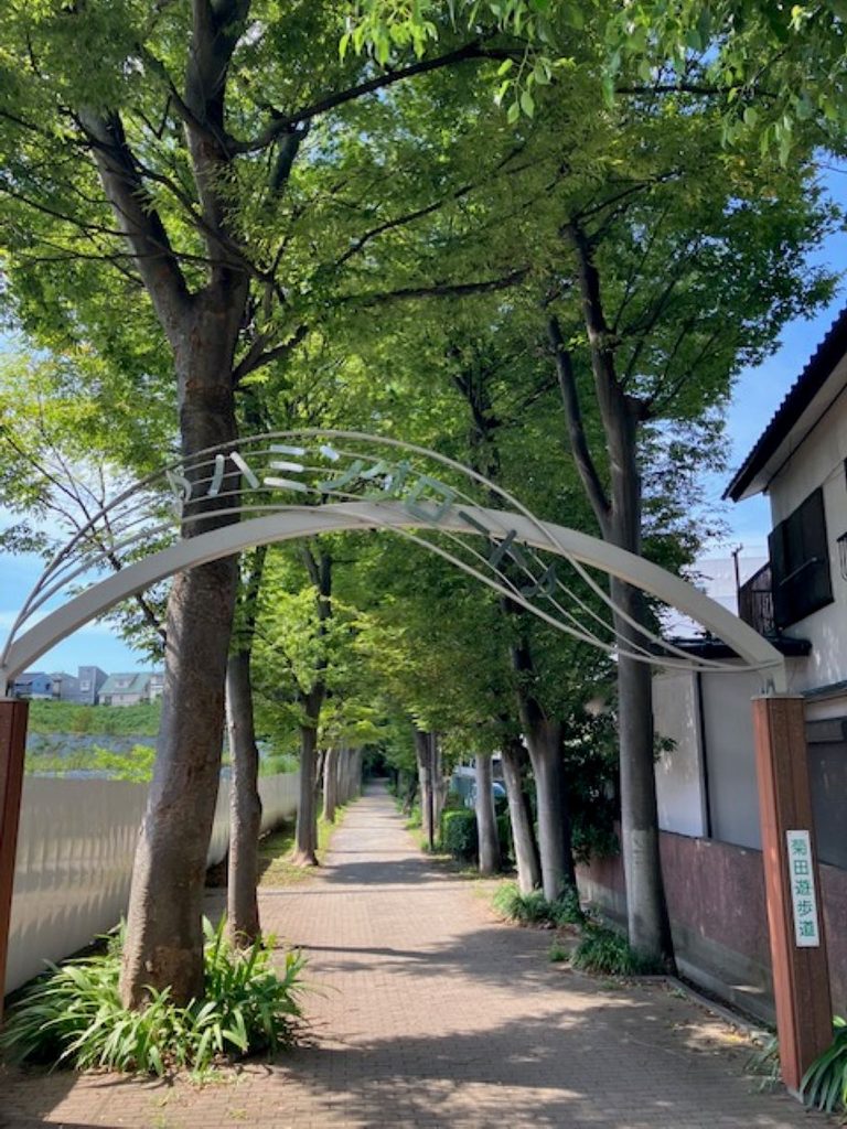 習志野市津田沼にある菊田遊歩道のスタート地点
