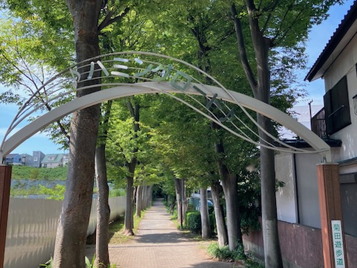 習志野市・京成津田沼の菊田遊歩道｜「菊田」の由来は？