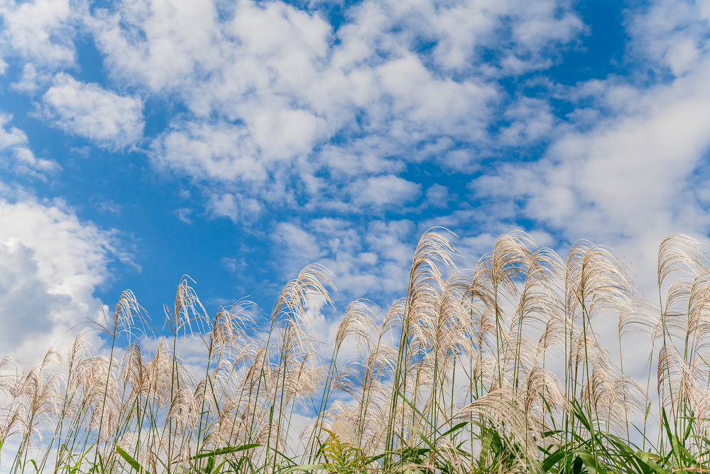 季節の変わり目の健康管理